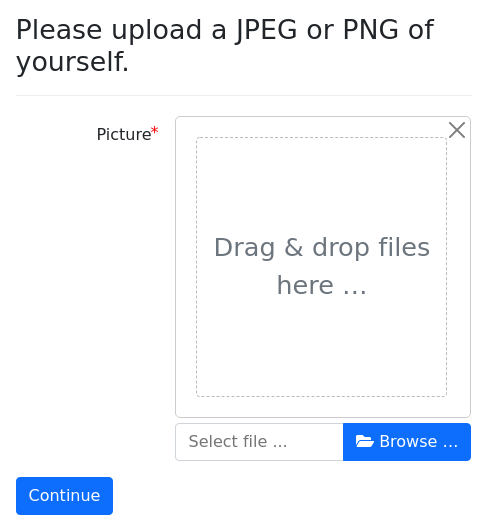 Screenshot of upload-accept example