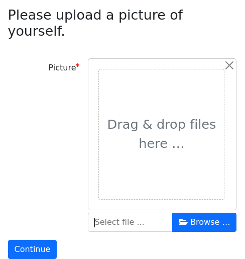 Screenshot of upload-max-image-size example